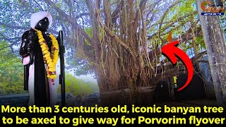 RIP 😢More than 3 centuries old iconic banyan tree to be axed to give way for Porvorim flyover [upl. by Eudosia]