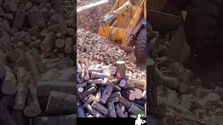 The process of loading firewood with a forklift  Hard Workers [upl. by Randall]