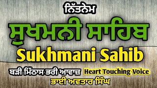 Sukhmani Sahib Path Fast  Vol 1  Gurbani Sukhmani Sahib  Nitnem Sukhmani Sahib  Avtar Singh [upl. by Tirma]