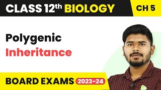 Polygenic Inheritance  Principles of Inheritance and Variation  Class 12 202223 [upl. by Ehrsam]