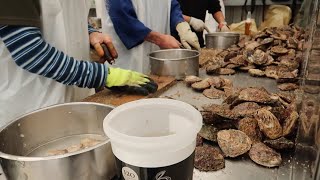 New Zealand Seafood  BLUFF  Oysters sea urchin abalone crayfish [upl. by Karena]