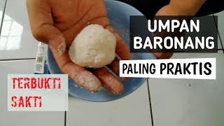 Umpan Baronang Paling Praktis tapi Terbukti Jitu [upl. by Richara]