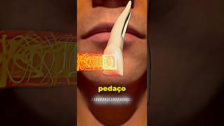 O dente que devolve a visão 🦷 curiosidades fatoscuriosos shorts [upl. by Adnalahs396]