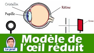 Modèle réduit de loeil 👁️ vision et image  Physique  Chimie [upl. by Llenor42]