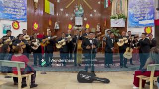 Romántica Rondalla Bohemia  Wendoline [upl. by Allets]