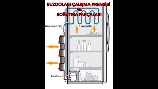 BUZDOLABININ CALIŞMA PRENSİBİ NEDİR  BUZDOLABININ SOĞUTMA PARÇALARI NELERDİR [upl. by Auqeenwahs]