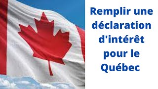 Remplir une déclaration dintérêt pour immigrer au Québec [upl. by Caines]