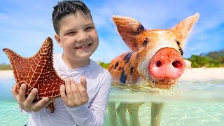 CALEB SWIMS with PIGS in the BAHAMAS 🐷 [upl. by Stambaugh521]