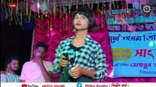 বোঝেনা সে বোঝেনাSalma Parbin Bojena She Bojena  Bangla Flim Song arifulsound2 music [upl. by Erbma]