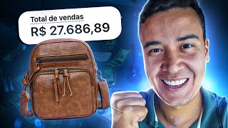 Separei R 500 e abri uma Loja do 0  Qual foi o lucro de 30 dias Dropshipping [upl. by Hoes]