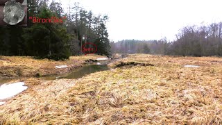 Atradumi ar mežu apstādītos laukosFindings in fields planted with forest [upl. by Atikcir]