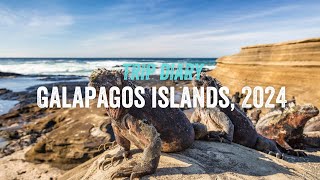 Galapagos Islands 2024  SwimTrek Trip Diary [upl. by Romola543]