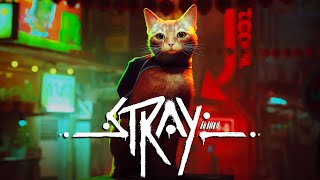 Stray Full Gameplay Walkthrough Longplay [upl. by Rivard]