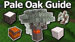 Ultimate Minecraft 122 Pale Oak Tree Guide  Find amp Grow Fast Farming amp More [upl. by Lumbard]