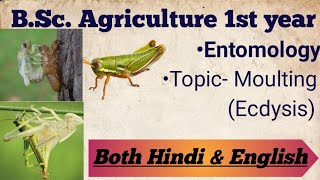 Moulting Ecdysis  Entomology  Explained in both hindi amp English [upl. by Esil783]