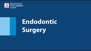 Endodontic Surgery [upl. by Willyt]