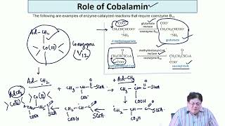 Lecture 40 Chemistry of cofactorscoenzymes Contd swayamprabha ch37sp [upl. by Adnamaa]