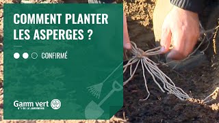 TUTO Comment planter les asperges   Jardinerie Gamm vert [upl. by Brunhilde]