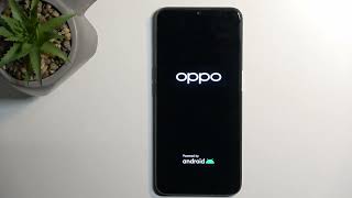 How to Factory Reset OPPO A16s  Delete All Data and Restore Default Settings [upl. by Massarelli137]