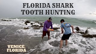 Florida Shark Tooth Hunting  Caspersen Beach and Sharkys Pier Venice FL [upl. by Shelby]