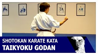 Taikyoku Godan Shotokan Karate Kata [upl. by Ahsinyd]