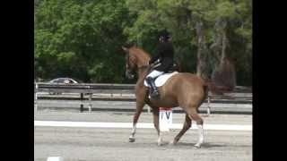 Judy Farnsworths 70 4th Level Ride on Caliburn  a horse she trained from 6 months old [upl. by Ribble]