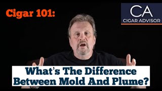 What is the Difference Between Mold and Plume  Cigar 101 [upl. by Seuguh337]