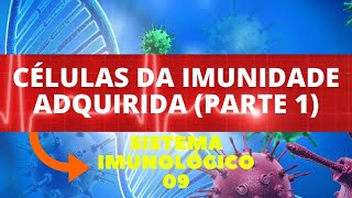 CÉLULAS DA IMUNIDADE ADQUIRIDA PARTE 1  IMUNOLOGIA SISTEMA IMUNOLÓGICO  ENSINO SUPERIOR [upl. by Eleaffar]