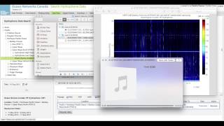 Hydrophone Viewer Demo [upl. by Adnal]