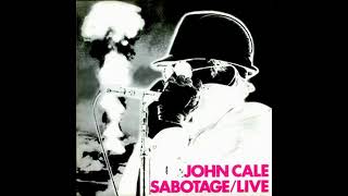 John Cale  Rosegarden Funeral Of Sores Studio Bonus Track [upl. by Atinar]