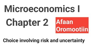 Choice involving risk and uncertainty Microeconomics I Chapter 2 fortino academics [upl. by Llennol873]