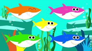 Baby Shark Dance Instrument  Kids Song and Nursery Rhymes  Songs for Children [upl. by Sylvan]