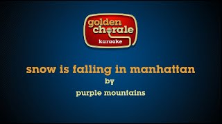 purple mountains  snow is falling in manhattan karaoke [upl. by Mirisola101]