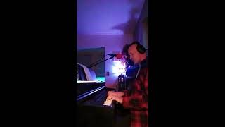 kiss kiss and rhinestones  HTRK piano cover  B Philips [upl. by Hjerpe691]