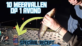 Wij vangen 10 jonge meervallen op één avond met geheim recept [upl. by Aidyn861]