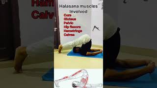 Halasana yogayogainspiration yogattc yogashorts yogamylife motivation [upl. by Eiralav]