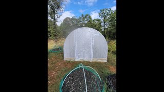 Affordable Amz GreenhouseVLOGhomesteading greenhouse [upl. by Allie]