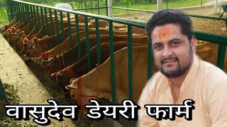 HighTech Jersey Cow Dairy Farm कैसे शुरू करें  Vasudev Dairy Farm Sirsa Haryana [upl. by Bowerman]