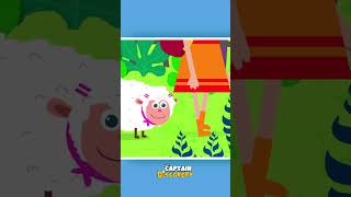 Mary Had A Little Lamb Little Lamb nurseryrhymes kidssong shorts ytshorts hooplakidz [upl. by Schwitzer]