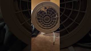 Kambrook CX8 200MM exhaust fan mid restoration [upl. by Kally]