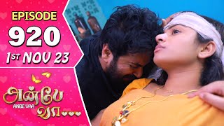 Anbe Vaa Serial  Episode 920  1st Nov 2023  Virat  Delna Davis  Saregama TV Shows Tamil [upl. by Ettelocin]