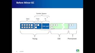 Troubleshooting GC with Intorscope Part 1 [upl. by Borg]