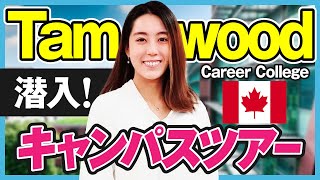 【Tamwoodコープ留学】ユニークな生徒が多く集まる人気のTamwoodを徹底取材！ [upl. by Ellahcim]