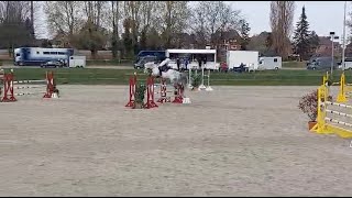 Cahil v Cornet Obolensky und Lucas Wenz  Platz 4 im MSpringen [upl. by Enyahc630]