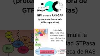 Neurofibromatosis 1 hospital ciencia curiosidadescientificas [upl. by Steward660]