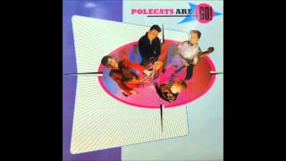 The Polecats Make a Circuit With Me １２”MIX [upl. by Gen]