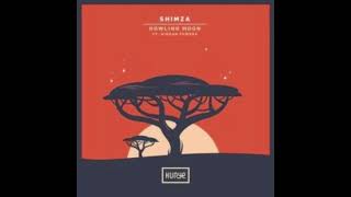 Shimza – Howling Moon ft Kieran Fowkes mp3 download zamusic [upl. by Fiel]