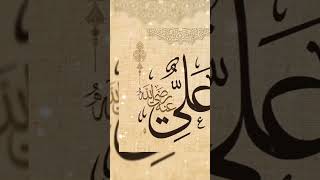 Haider e karrarmeriulfatmadineseyunhinahi Ya Ali islamicmusic ytshorts [upl. by Dlawso]