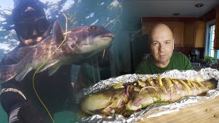 Tautog spearfishing amp how to cook fish Tautog Underwater hunters notes  tautog catch and cook [upl. by Nnayllek]