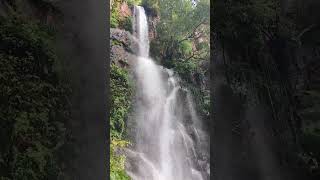 Talakona waterfalls in tirupati tirupati trending travel nature popular shorts [upl. by Dulla]